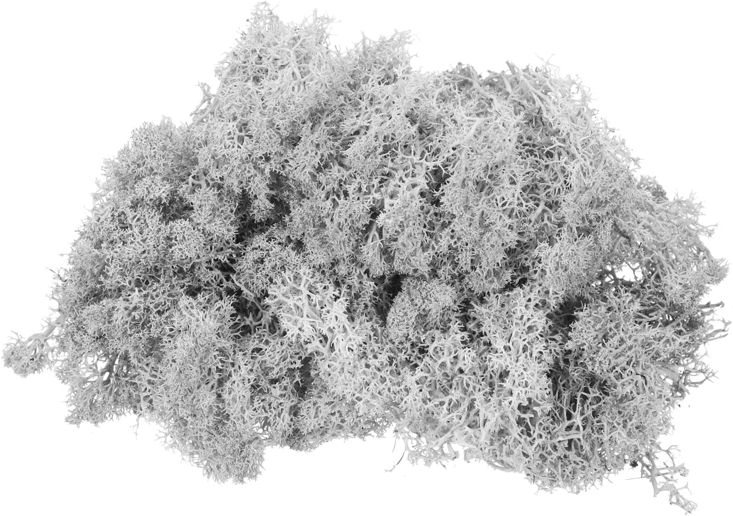 MECCANIXITY 4.6oz Preserved Reindeer Moss, Light Grey Decorative Artificial Fake Moss for Potted Plants Indoor Crafts Lichen Centerpieces Decor