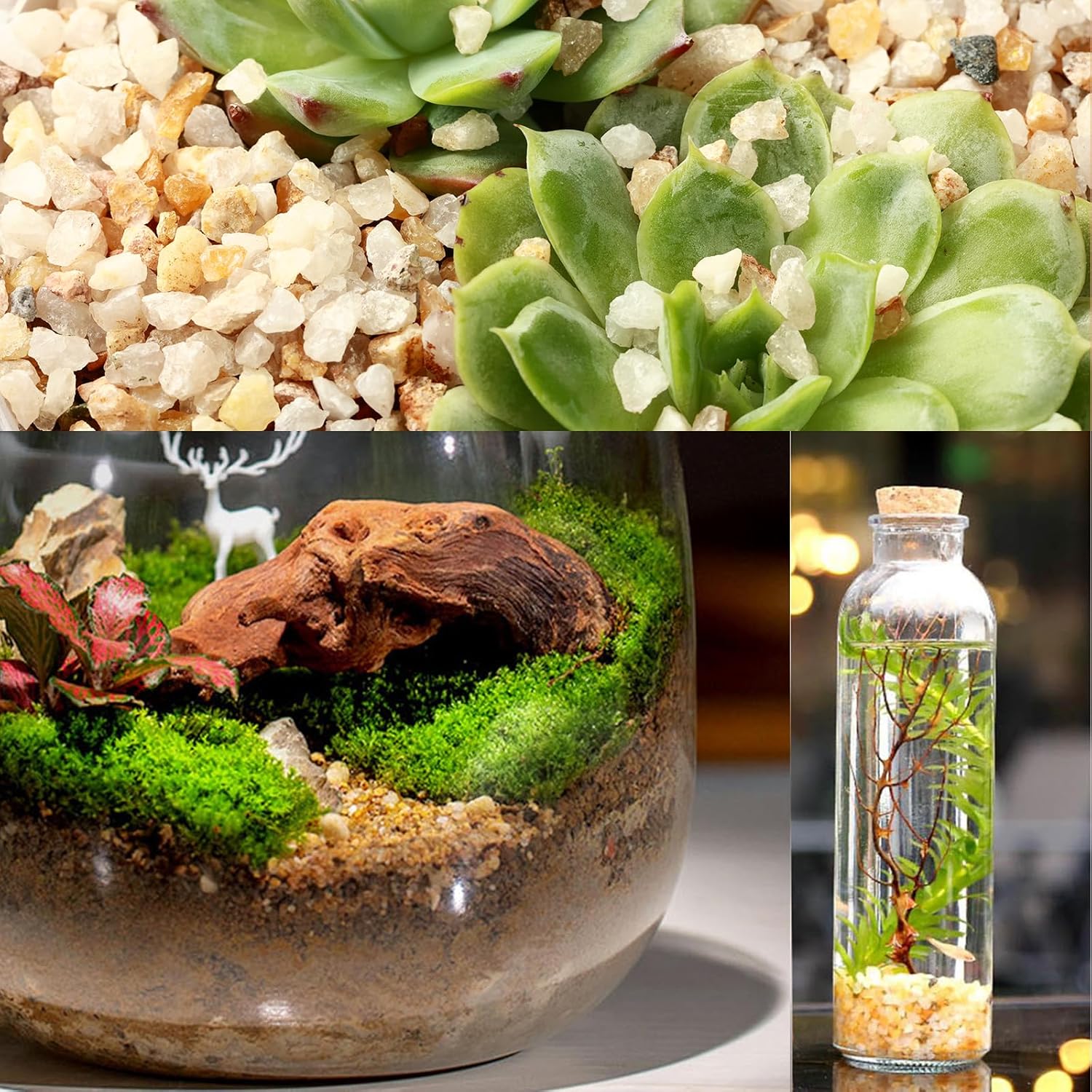 11 Pounds Coarse Silica Sand Succulent and Cactus Bonsai Stones Soil Cover Gravel for Indoor Outdoor Plants Natural Decorative Rocks for Fairy Gardening, Vase Fillers, Aquariums, Carnivorous Plant Mix