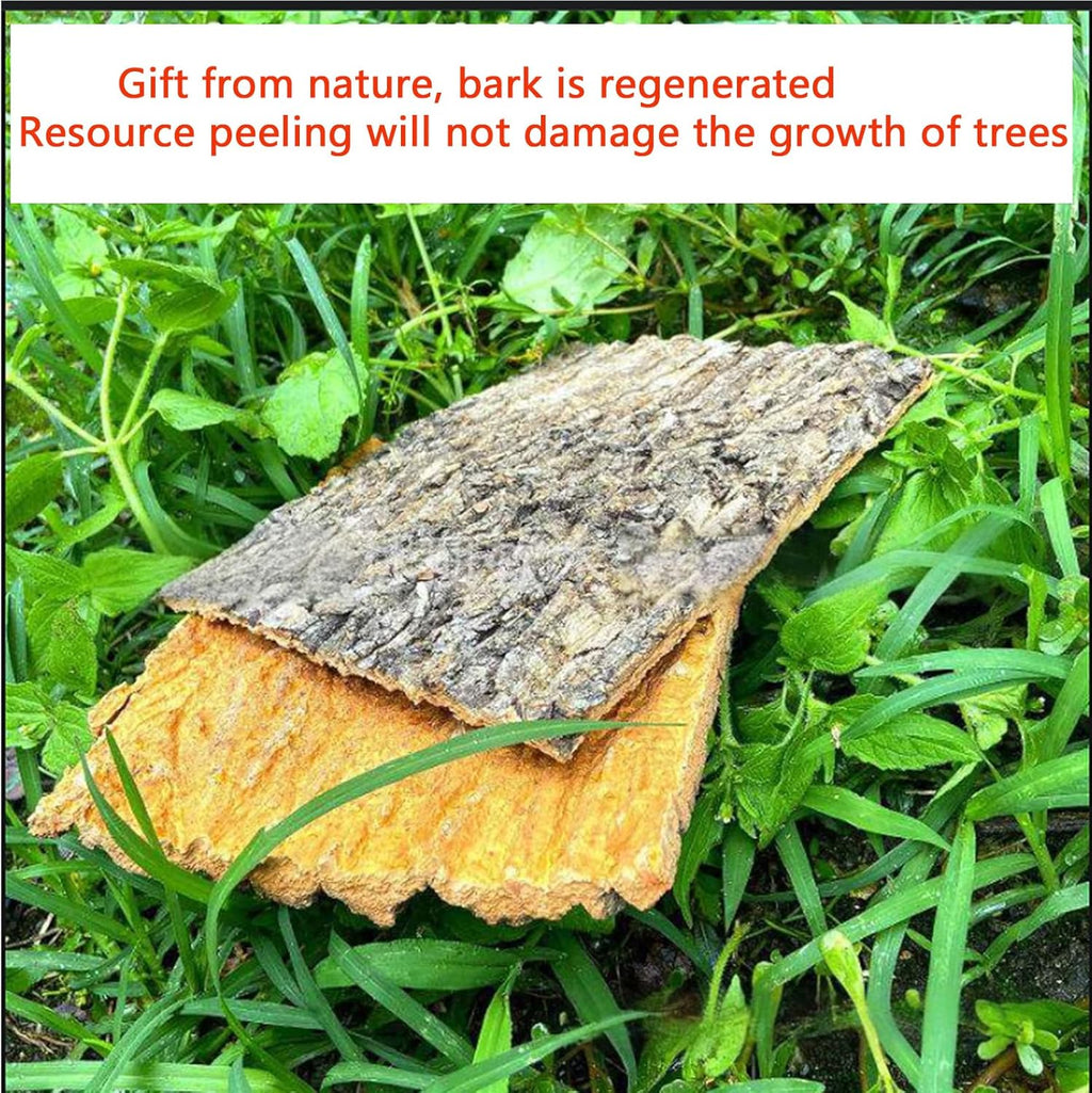 5 Pack Reptile Cork Bark Bulk Reptile 3.93x7.87inch Bark Bedding Natural Flat Cork Wood Pieces Terrarium Substrate Tank Supplies for Bearded Dragon Snake Spiders Hermit Crabs Geckos ，Tortoise，Reptiles