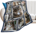 Maine Coon Cat Blanket Cute Kitten Throw Blankets Gifts for Girls Boys Kids Cat Lover Soft Cozy Fleece Plush for Couch Sofa Bed 50"x40"