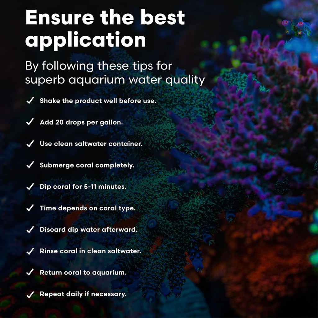 Brightwell Aquatics MediCoral Coral Dip for Stony Soft Leather Polyp Corals Prepares New Additions Reduces Tissue Degradation in Reef Aquariums, 1000 ml