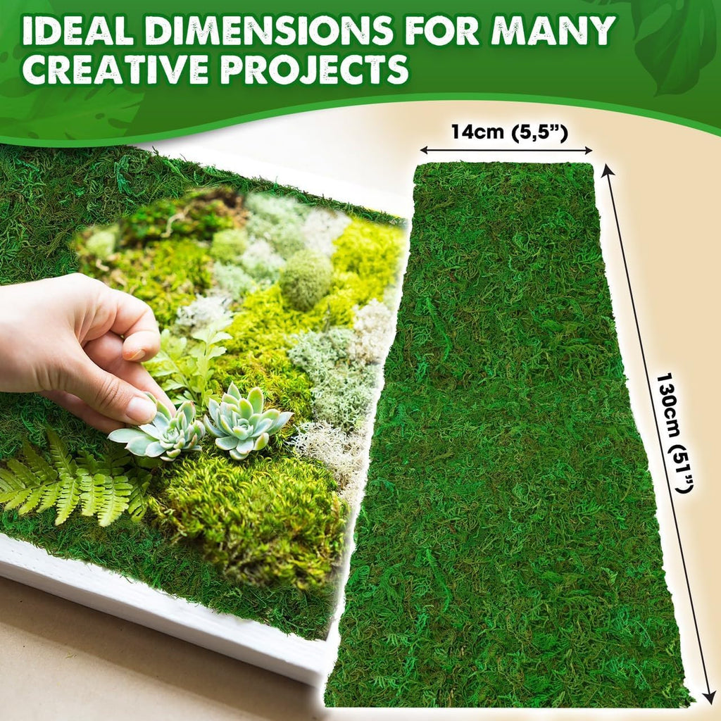 DUSPRO 51"x5.5" Sheet Moss Roll, Peel and Stick Moss Sheets for Crafts, Moss Sheets for Planters, Moss for Plants Indoor, Adhesive Moss Sheets for Fairy Garden, Sticky Moss for Table Decor