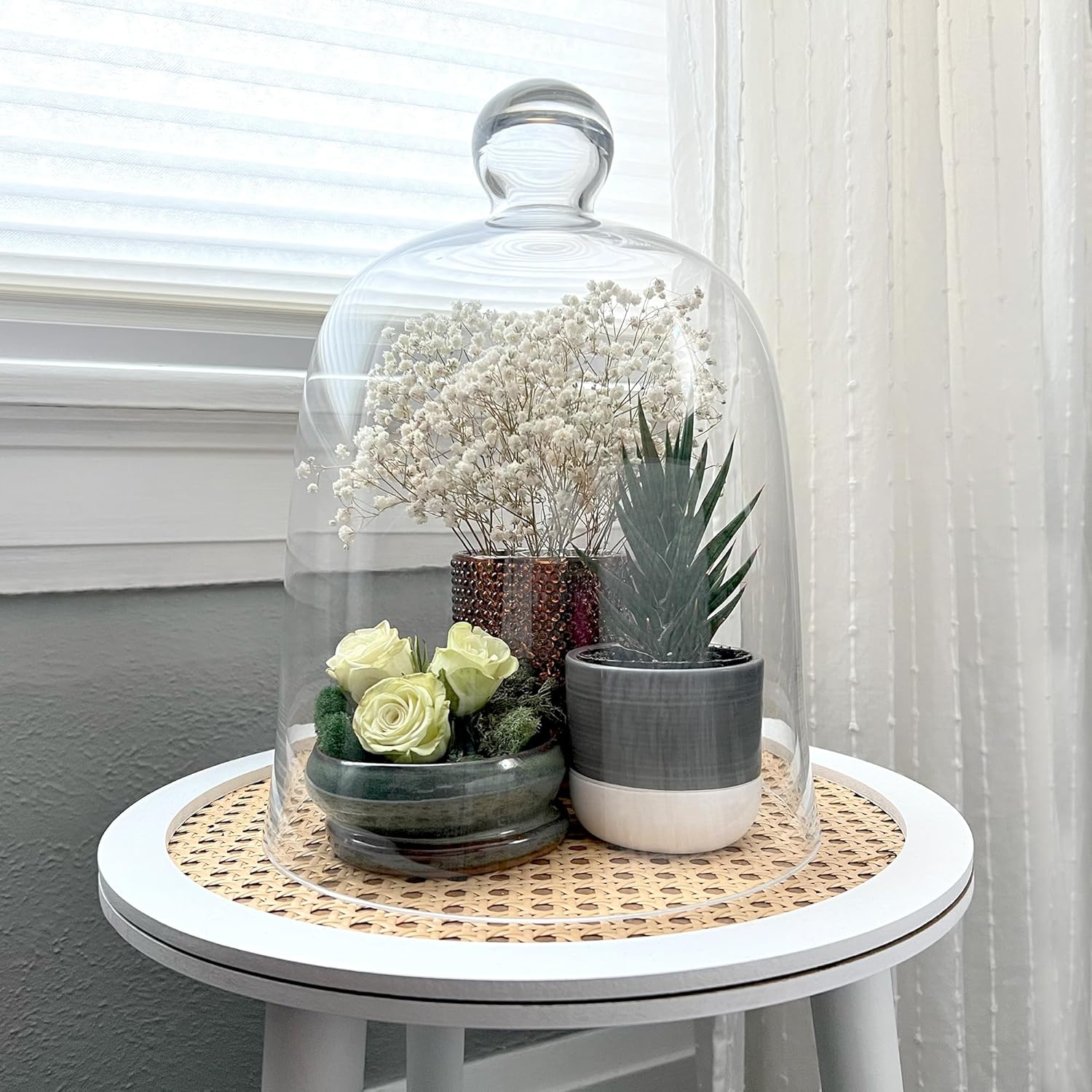 Plymor 8.5" x 11" Bell Jar Glass Display Dome Cloche (Interior Size 8.25" x 9.5")
