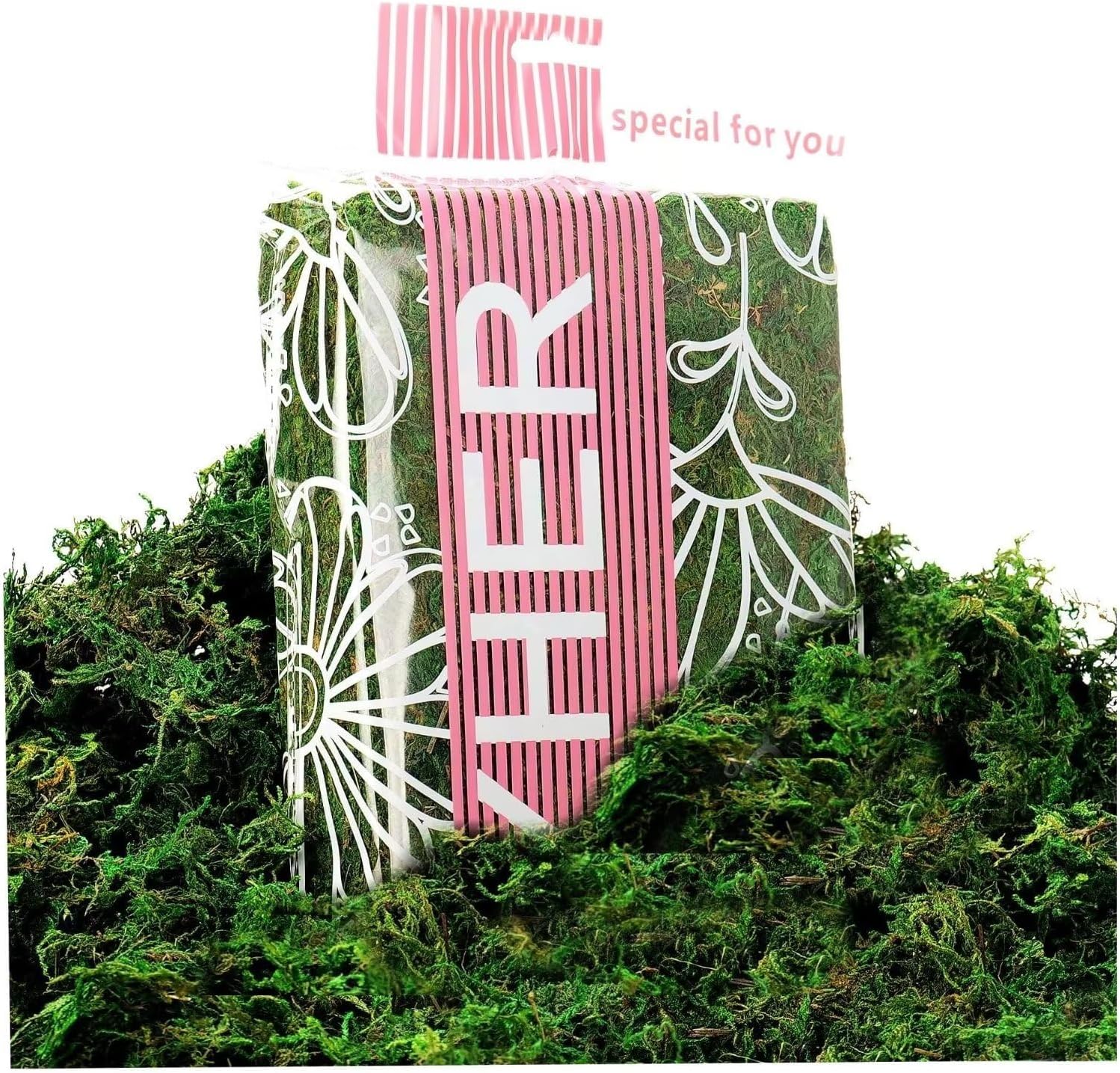 Byher 92926 Preserved Forest Moss, Fresh Green (8OZ)