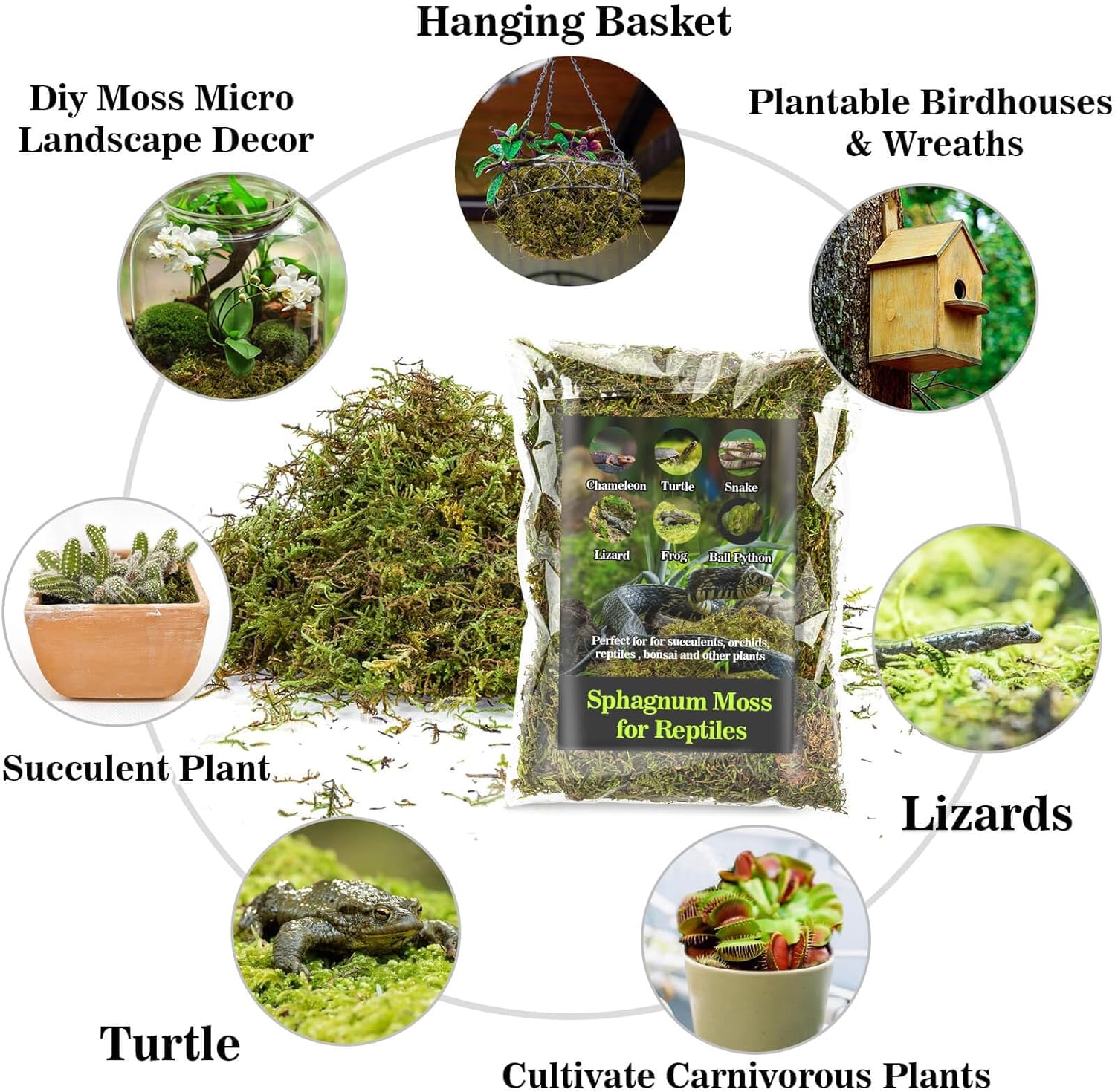 Sukh Sphagnum Moss for Reptiles -Terrarium Moss for Reptiles Peat Moss for Reptiles Habitat Bedding Moss for Snakes Turtle Frog Gecko and Other Reptiles Substrate (30, Ounces)