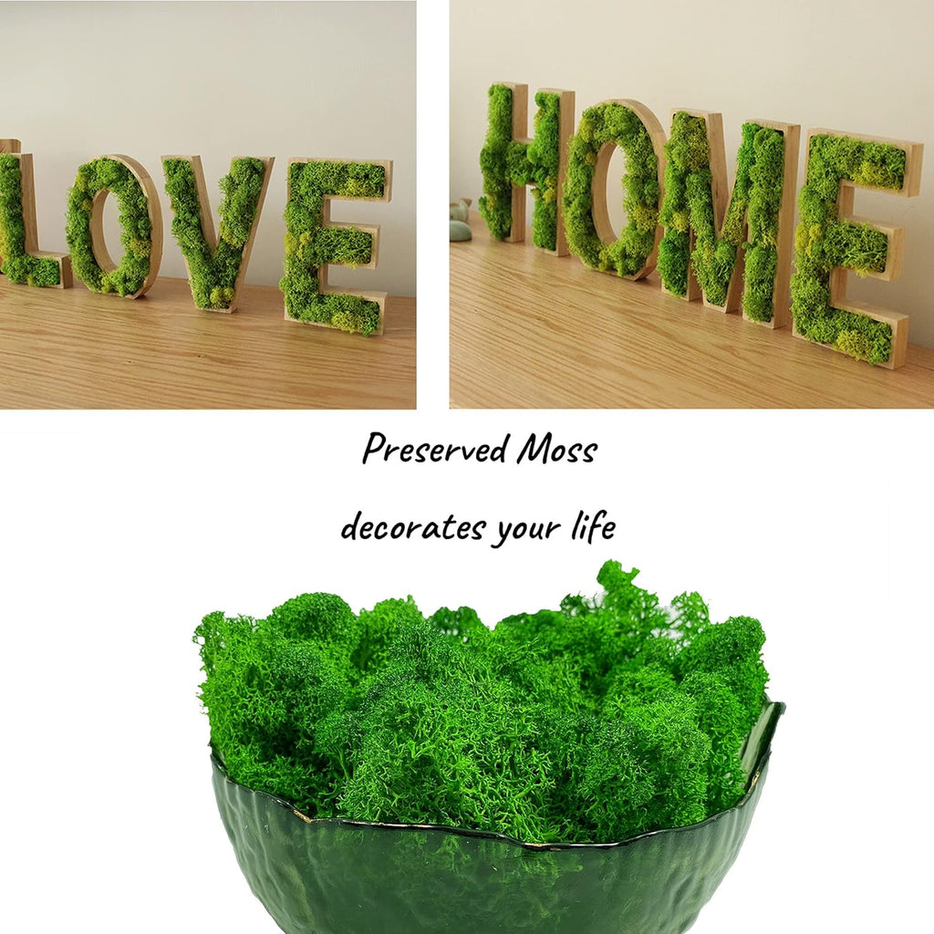 Moss Preserved Artificial Moss 8.8 oz Natural Fresh Green Moss for Craft Arts Floral Project Wall Decor Table Decor Wedding Centerpieces Garden Terrariums Decoration -MidGreen