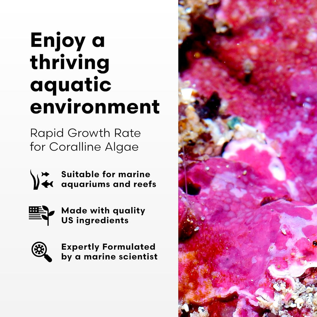 Brightwell Aquatics - Coralline Accelerator - Multi-Nutrient Supplement for Coralline Algae Growth in Marine and Reef Aquariums - Aquarium Water Treatments, 8.45 fl oz