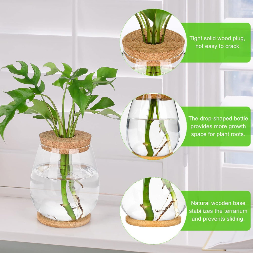2Pcs Propagation Vases for Plants, Well-Made Plant Terrarium, Hydroponic Glass Container Vase Jars, Plant Lover Gifts for Women, Windowsill Kitchen Desktop Decorations