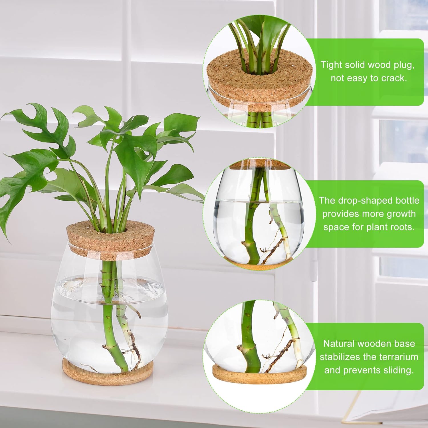 2Pcs Propagation Vases for Plants, Well-Made Plant Terrarium, Hydroponic Glass Container Vase Jars, Plant Lover Gifts for Women, Windowsill Kitchen Desktop Decorations