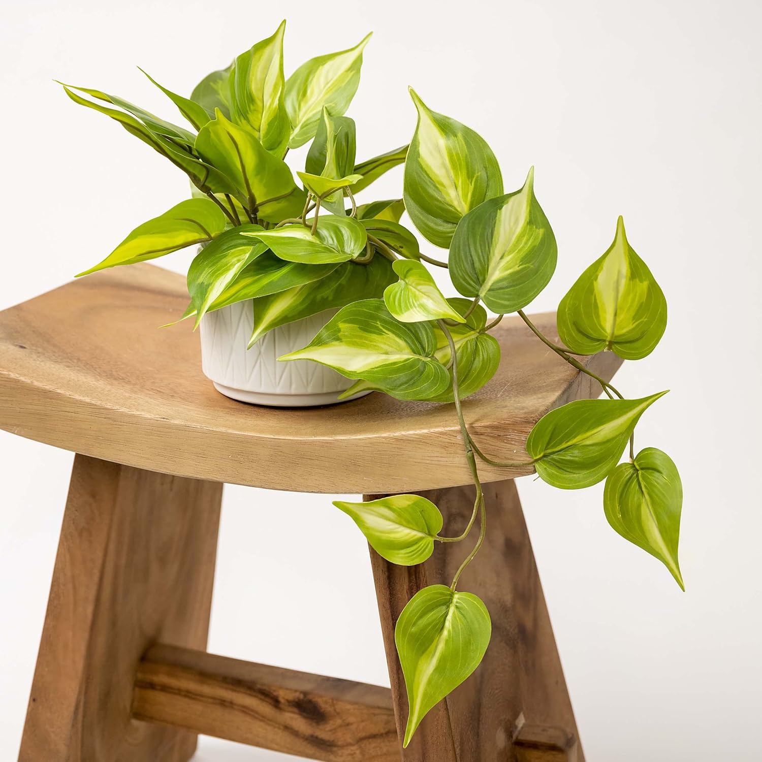 Kurrajong Farmhouse Light Green Fake pothos Plant | Fake Plant for Shelf Decor | Artificial Trailing Ivy Plant with 5" Wide x 3.5" high Ceramic Pot | Faux pothos | Feaux Pothos
