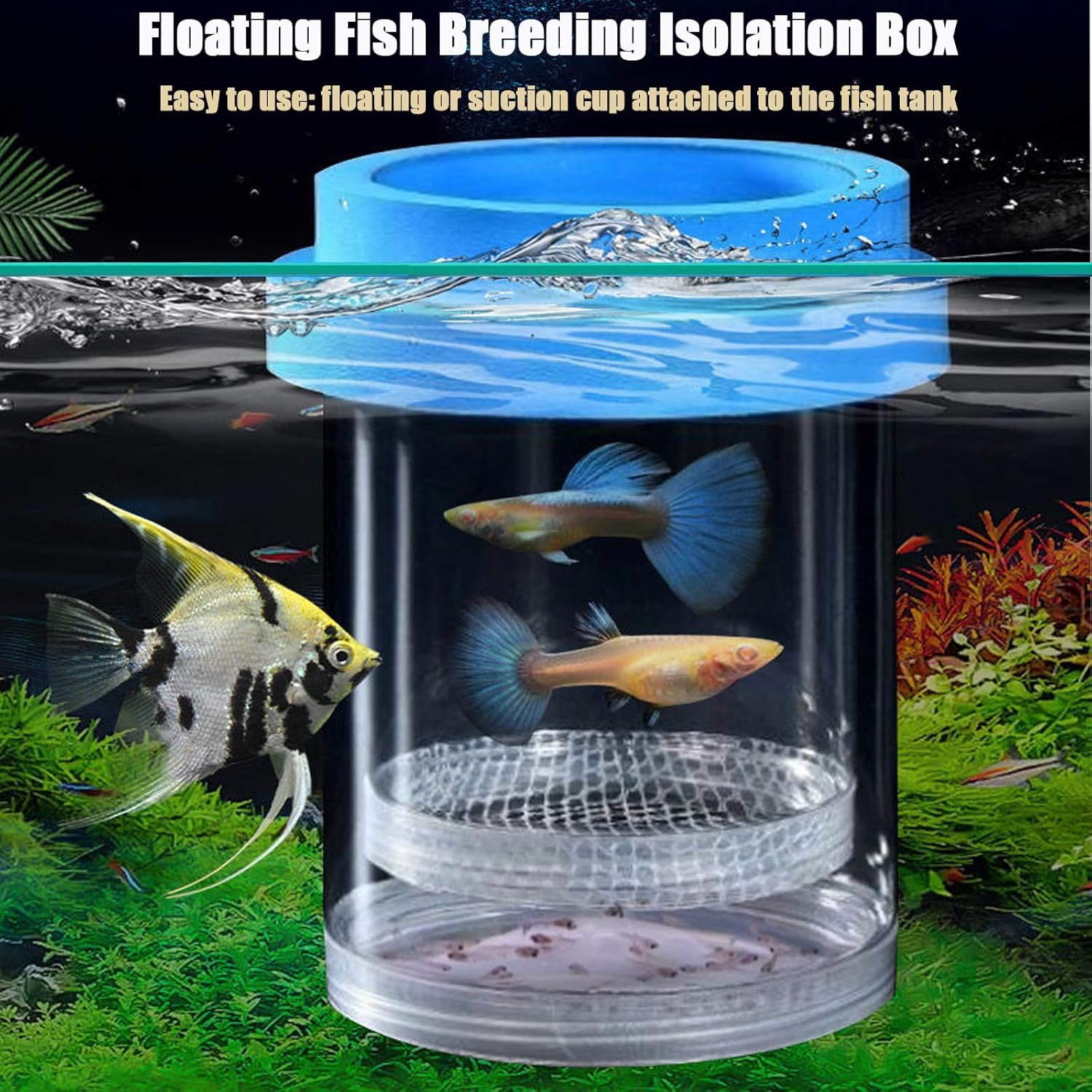 Breeder Box for Fish Tank, Plastic Aquarium Breeding Chamber, Floating Mesh Isolation Hatchery Incubator for Small Fish, Betta Shrimp Clownfish Guppy - Adjustable Nursery Tank Divider (Blue,Large)