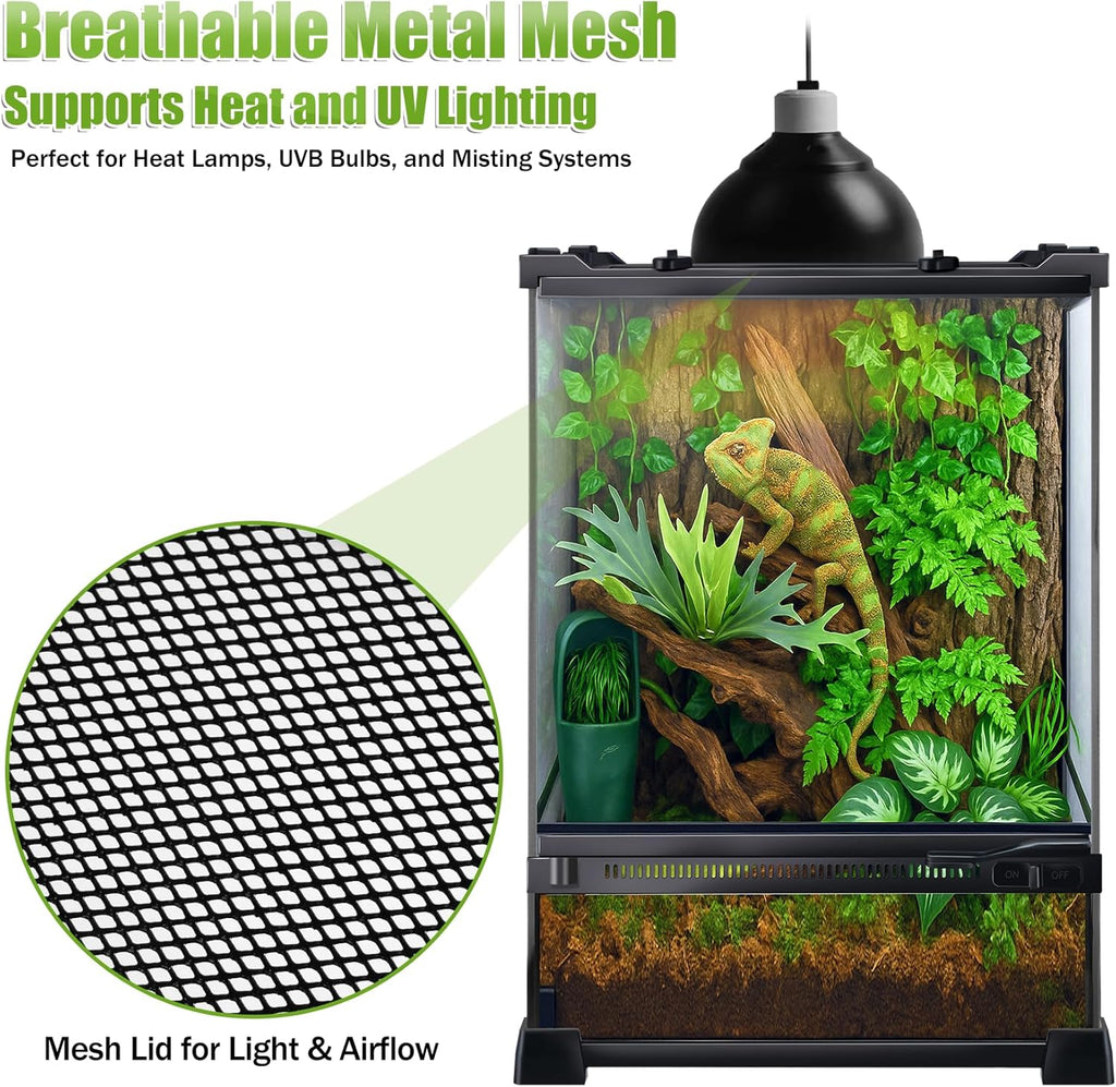 Reptile Terrarium 10"x10"x14", Full Glass Tank Enclosure for Small Reptiles, Geckos, Frogs, Lizards, Snakes, Spiders, Turtles, Vertical Rainforest Habitat