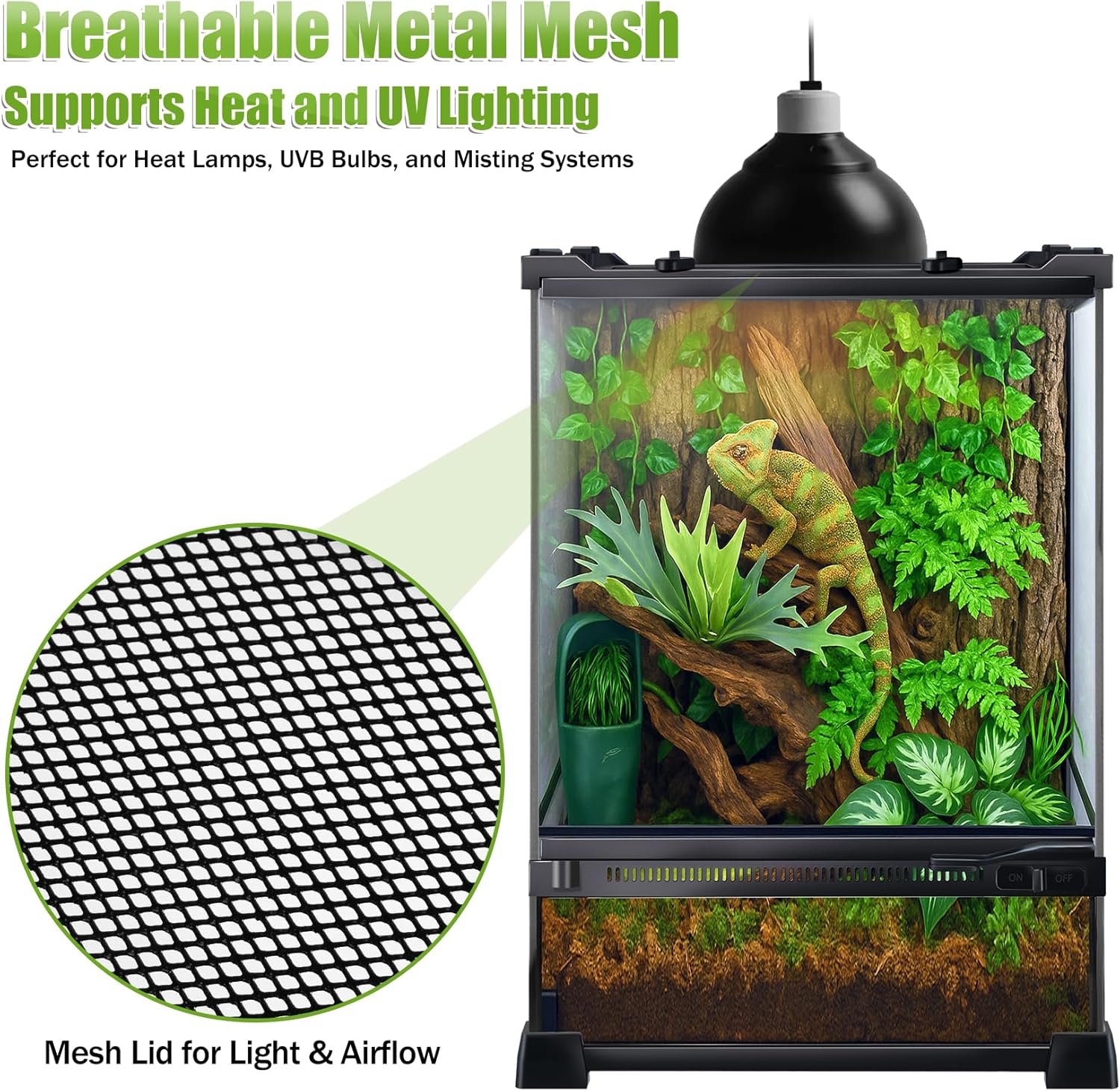 Reptile Terrarium 10"x10"x14", Full Glass Tank Enclosure for Small Reptiles, Geckos, Frogs, Lizards, Snakes, Spiders, Turtles, Vertical Rainforest Habitat