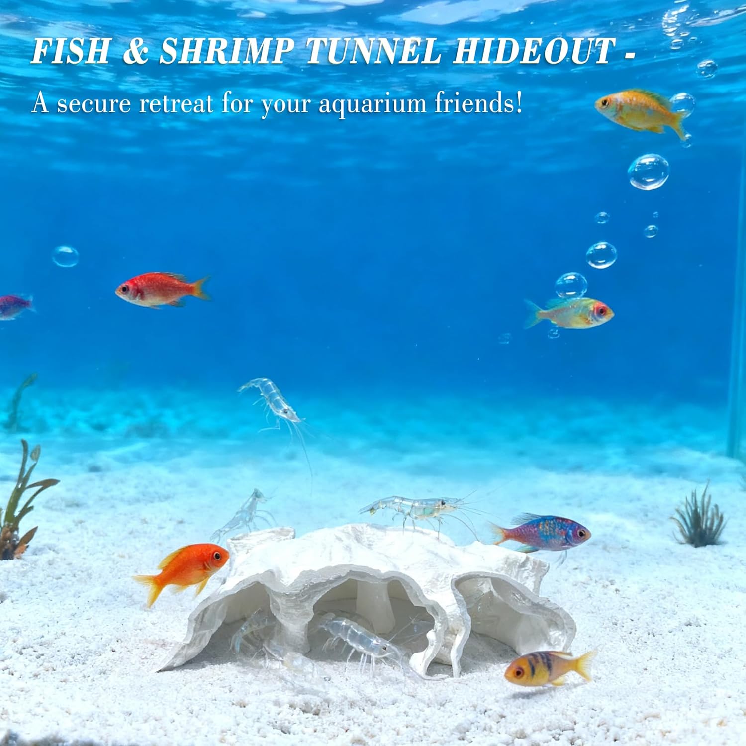 LIYAOLI Aquarium Ornaments Cave Tunnel with Viewing Ports | Fish Tank Decoration Hideout for Pleco, Shrimp & Corydoras | Substrate-Friendly Design & Sinking Base (S - White)