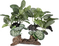 Aquarium Plastic Plants, Driftwood Betta Silk Plants, Silk Plants Aquarium Set Decor, Silk Aquarium Plants for Betta Fish (Green, 3pcs)