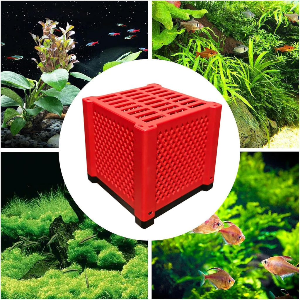 Activated Carbon Cube - Structure Charcoal Deodorizer | Aquarium Filter Media | Reusable Purifier Betta Bowl Small Tank Pond Purification System Water Freshness Enhancer Clarity