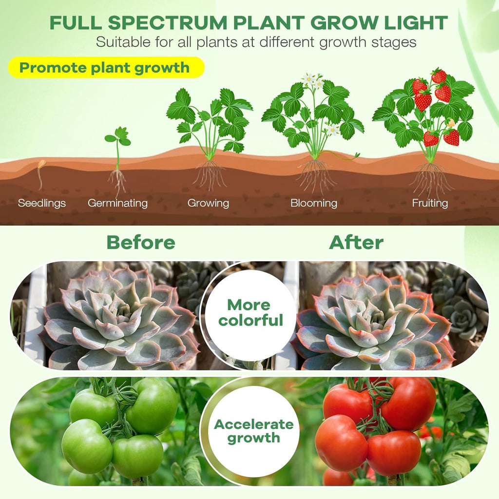 Led Grow Lights, 2 Heads Full Spectrum Plant Light with Clamp for Indoor Plants & Seed Starting, 10-Level Dimmable, Auto On Off, Timing 3 9 12Hrs