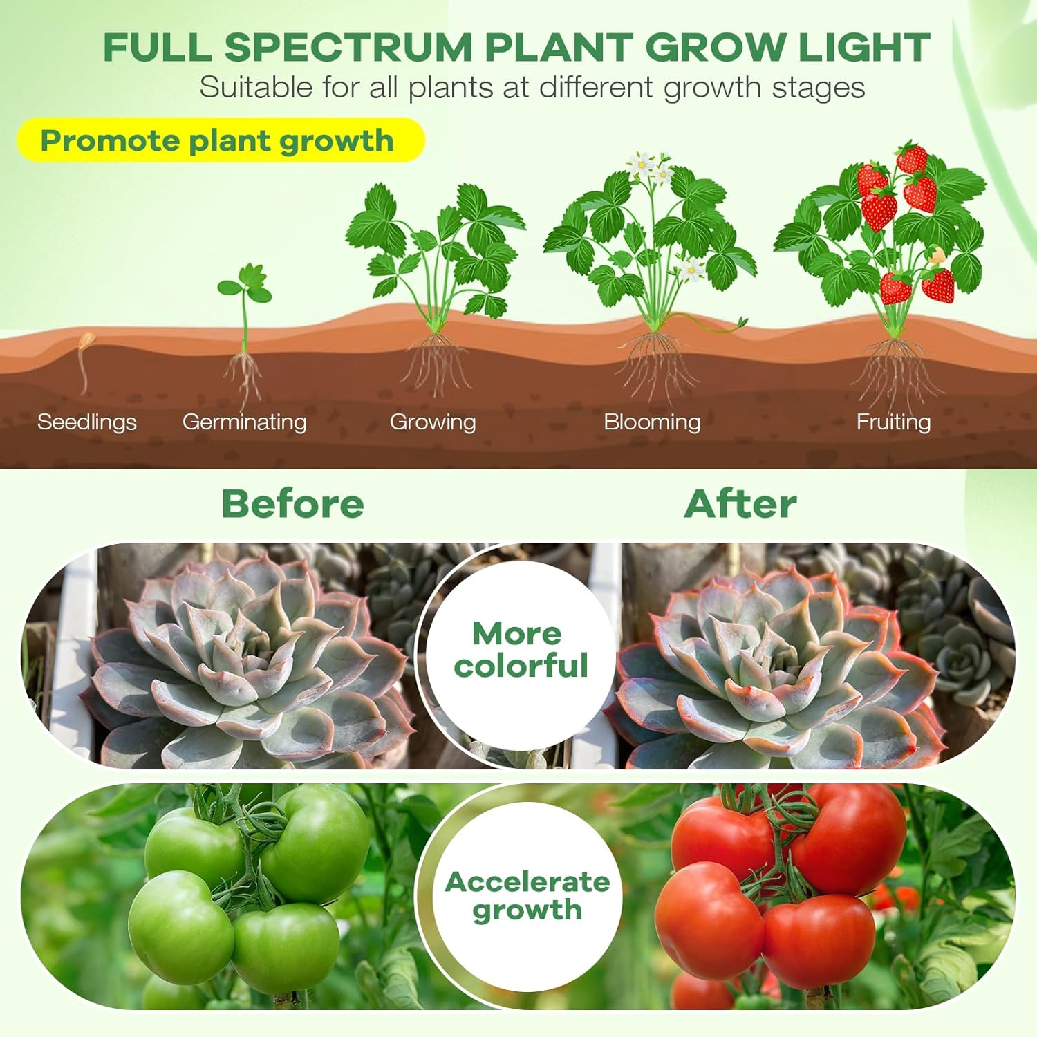 Led Grow Lights, 2 Heads Full Spectrum Plant Light with Clamp for Indoor Plants & Seed Starting, 10-Level Dimmable, Auto On Off, Timing 3 9 12Hrs
