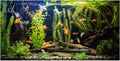 Aquarium Background, River Bed & Lake Tropical Undersea Tree Branch Aquatic Plant Fish Tank Background, 6 EVA Double-Sided Tapes 48x24 inches/120x60