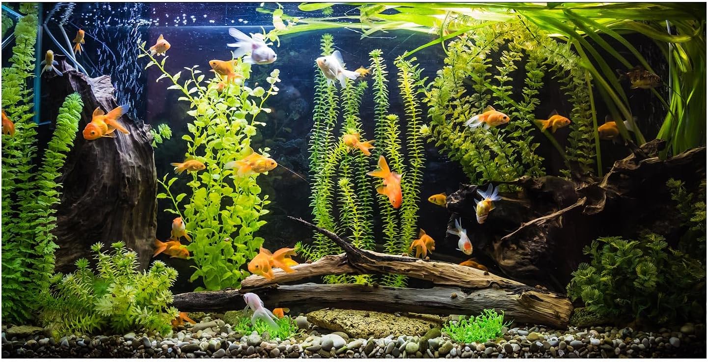 Aquarium Background, River Bed & Lake Tropical Undersea Tree Branch Aquatic Plant Fish Tank Background, 6 EVA Double-Sided Tapes 48x24 inches/120x60