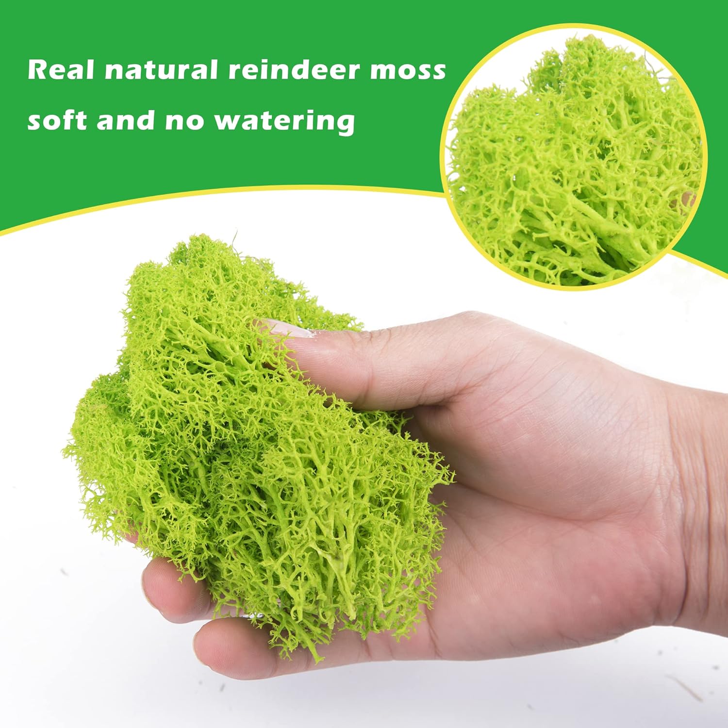6 Colors Preserved Moss-16.9 OZ Natural Reindeer Moss-Moss for Crafts, Potted Plants Floral Arrangements Home Artistic Garden Decoration
