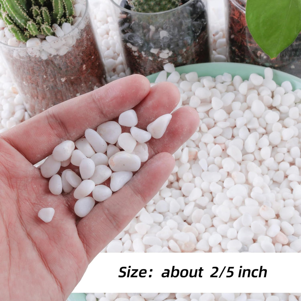 2.4lb 1/4" Small White Rocks for Plants,Potting,Succulents Aquarium Fish Tank Garden Vases Decorative Pebbles Gravel Rocks Stones