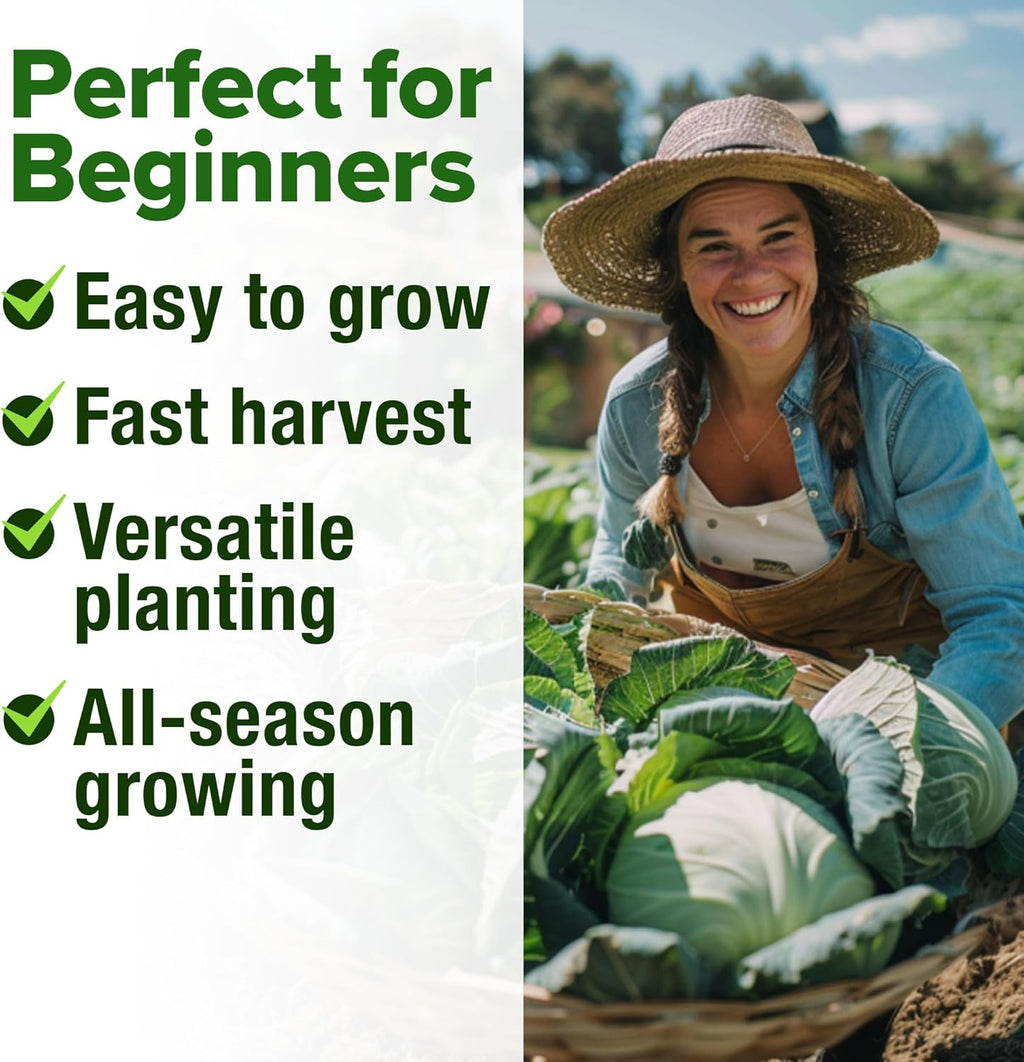 HOME GROWN 7 Cabbage Seeds for Planting - 2000+ Heirloom Seeds - Golden Acre,BokChoy,Savoy,Michihili, Red Acre, Copenhagen Market,Jersey Wakefield - Vegetable Seeds for Planting