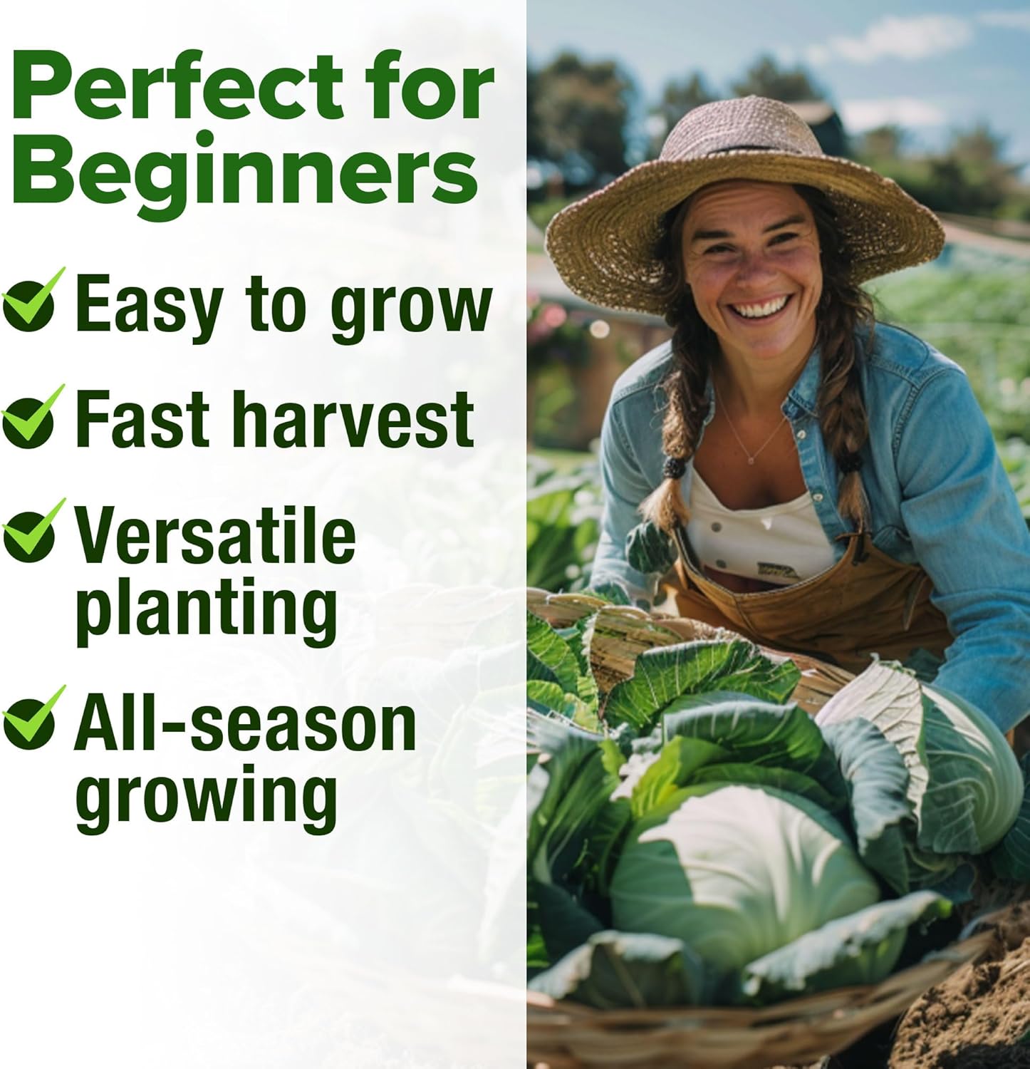 HOME GROWN 7 Cabbage Seeds for Planting - 2000+ Heirloom Seeds - Golden Acre,BokChoy,Savoy,Michihili, Red Acre, Copenhagen Market,Jersey Wakefield - Vegetable Seeds for Planting