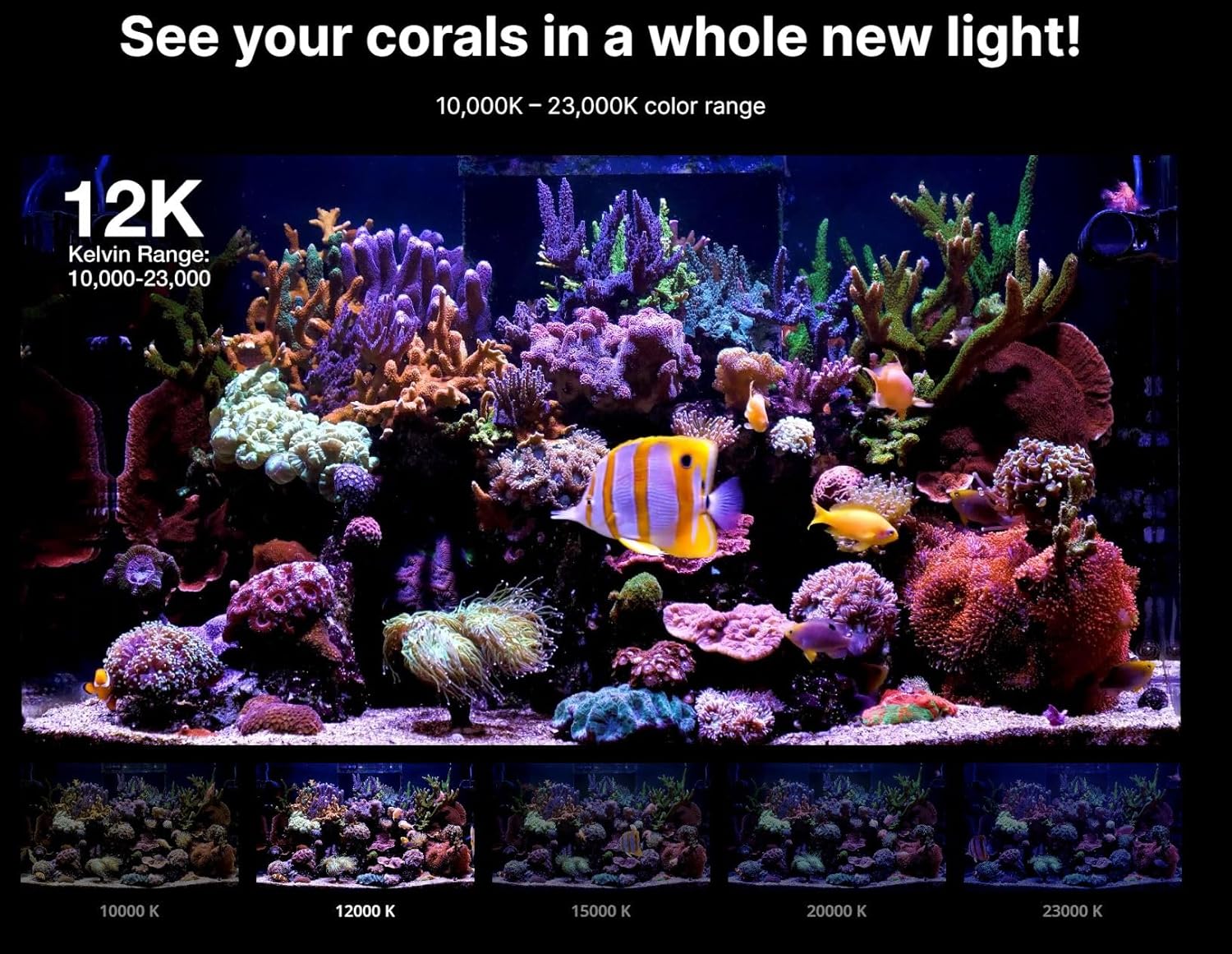 Red Sea ReefLED G2 170 Watt Saltwater Aquarium Light Reef | ReefBeat App Controlled for Fish Tank LED Lights for Corals Reef Marine