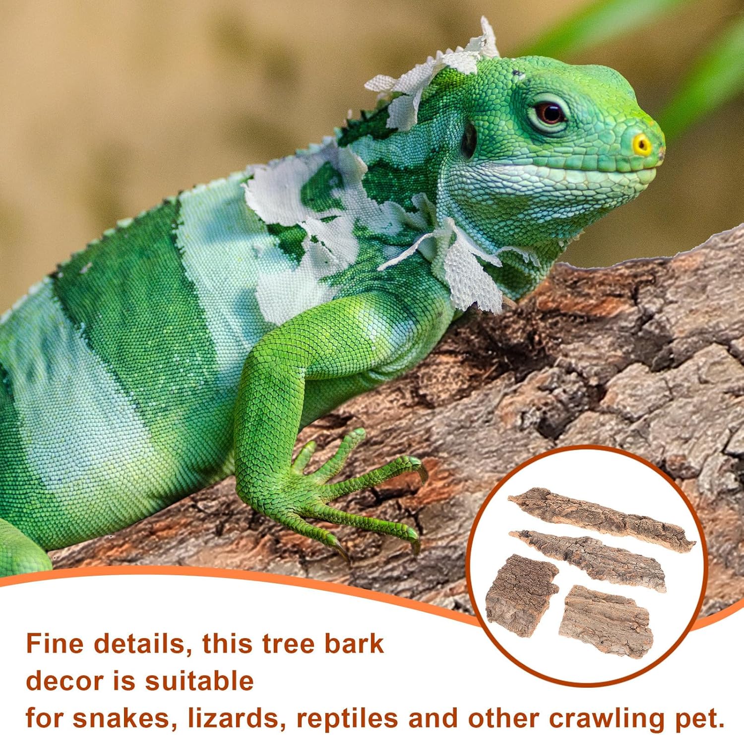 Alipis 4pcs Reptile Cork Bark Background: 7. 9" X 3. 2" Natural Wood Cork Bark Decor - Reptile Tank Accessories for Turtles Lizards Bearded Dragons Chameleons (Random Shape)