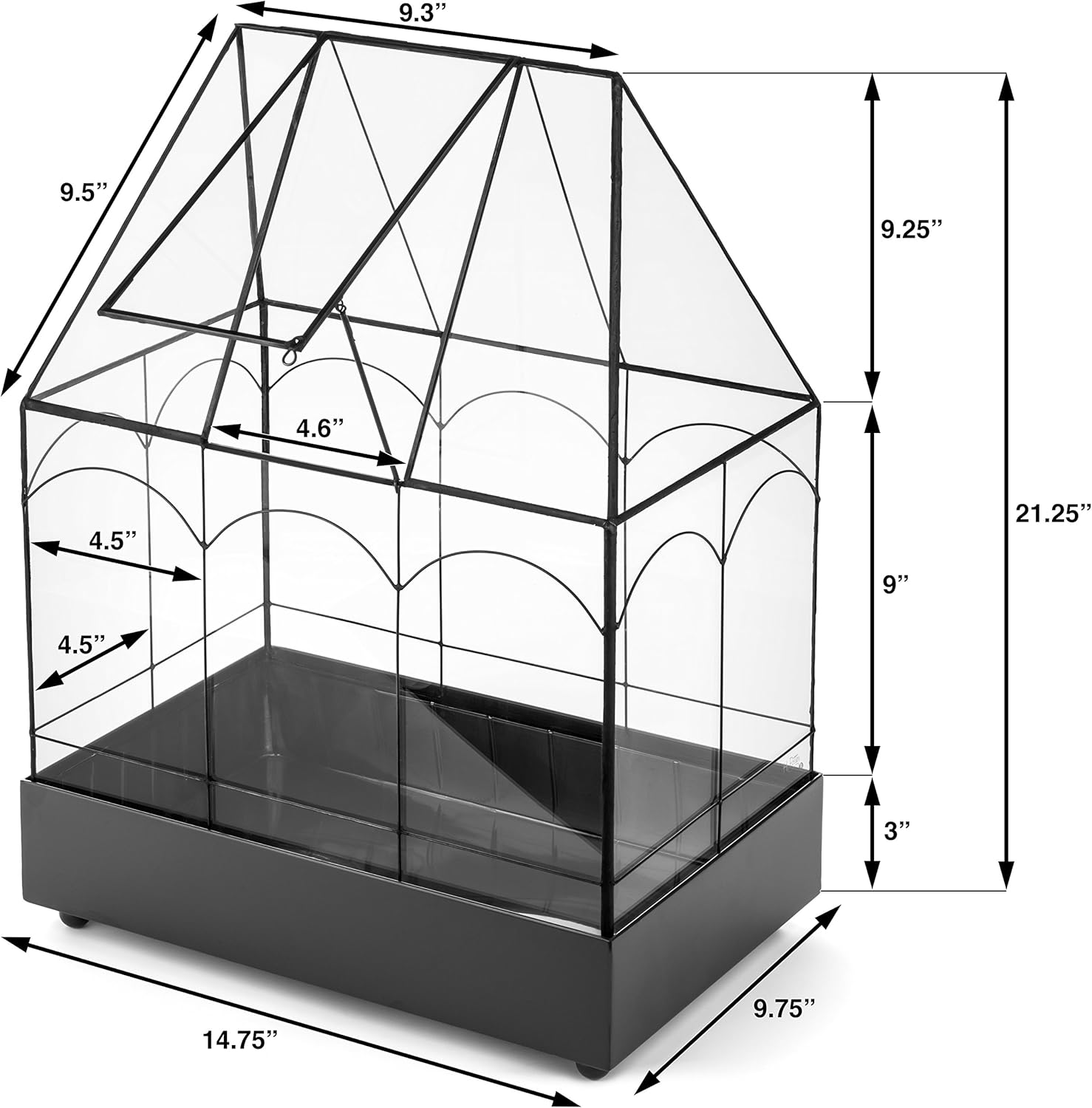 H Potter Glass Terrarium Wardian Case Succulent Planter Container for Plants Flowers Orchids Foliage and More WAR117