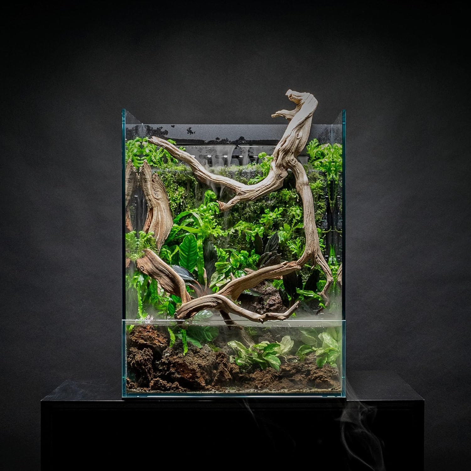 Ultum Nature Systems Foresta Line Moss Aquarium Thread - Hanging Thread & Heavy Duty String to Hang Decorations, Driftwood & Moss for Aquarium - Plant Thread for Aquariums in Green Color - 480 Meters