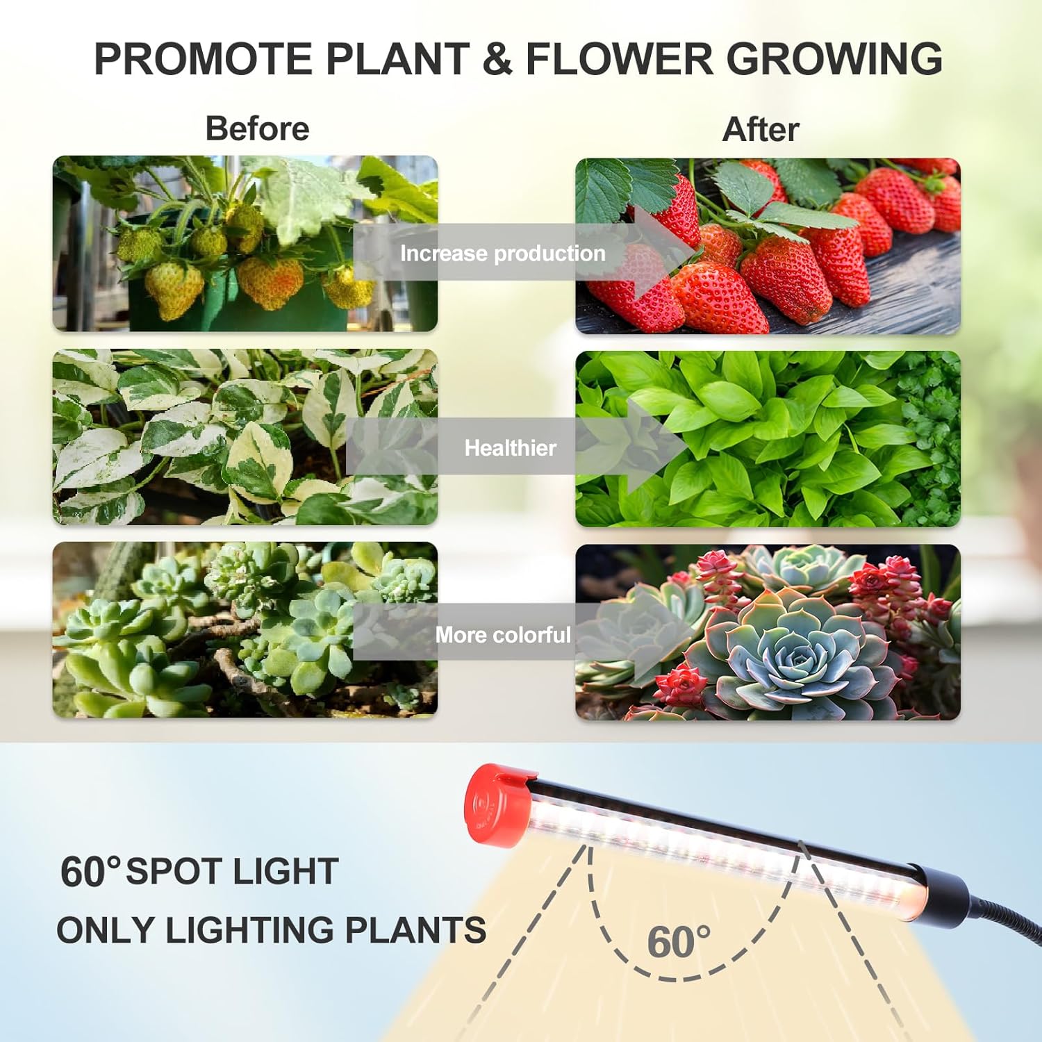 3-Head Table Top Grow Lights for Indoor Plants, Seed Starting, Bonsai with Timer, 27W Power Home Plug, FECiDA 2025 Full Spectrum Plant Growing Lamps, 16"-24" Height Adjustable