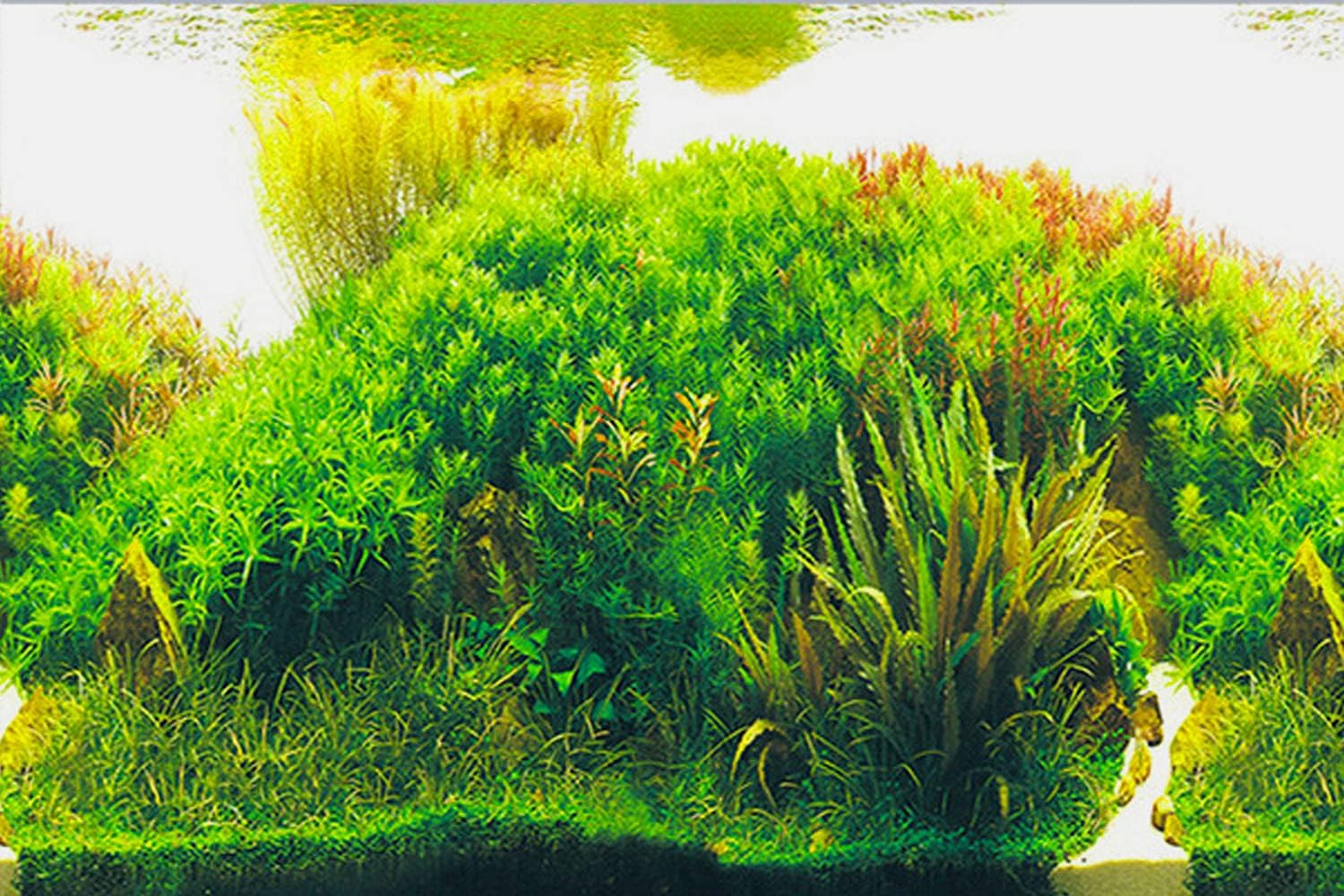ELEBOX Fish Tank Stickers Wallpaper Seaweed Background Aquarium Background Decoration Water Plants Fish Tank Background 15.7"x 40"