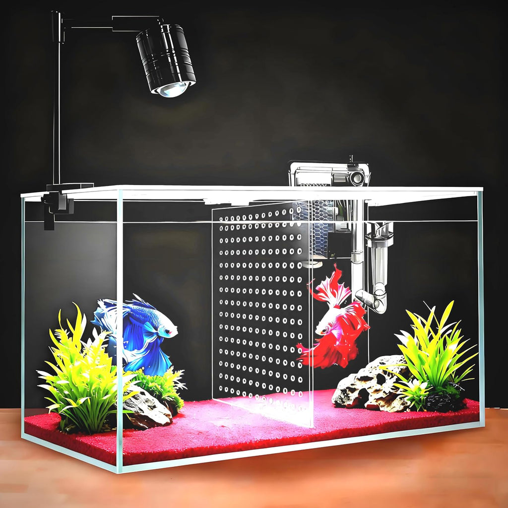 Fish Tank, 3 Gallon Ultra-Clear Glass Fish Aquarium, with Separator Plate for Betta, Fish Tank Starter kit with Filter and Adjustable Led Light, White