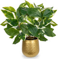 Oairse Articicial Plants Indoor Small Fake Plants in Pots Faux Pothos N‘ Joy Potted Plant Fake Indoor Plants with Gold Pots for Bathroom Living Room Office Desk Shelves