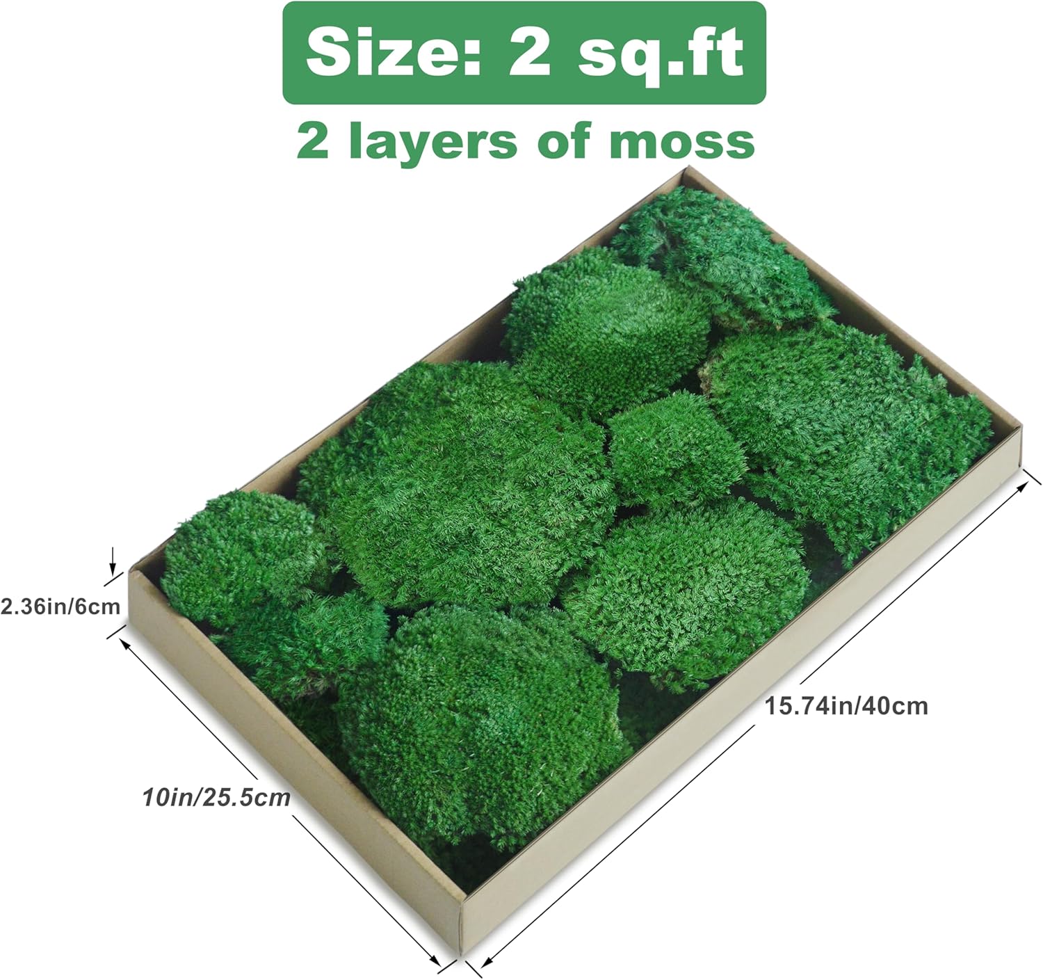 TurelinnG Preserved Moss Decor - Real Forest Moss, Moss for Crafts, Flexible for DIY Crafts, Home, Wall, Terrarium, Art Projects(Dark Green 2 sq.ft)