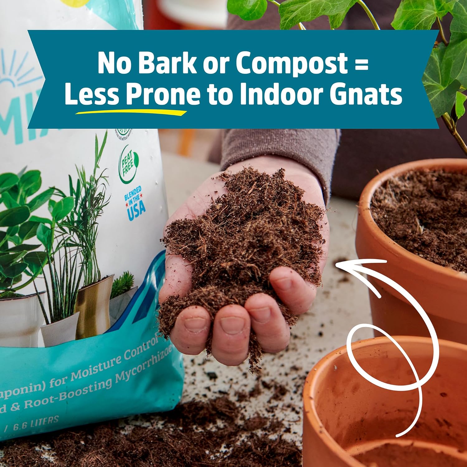 Back to The Roots 100% Organic Indoor Potting Mix (Value 12 Quart) | Promotes Healthy Houseplant Growth| Made in The USA