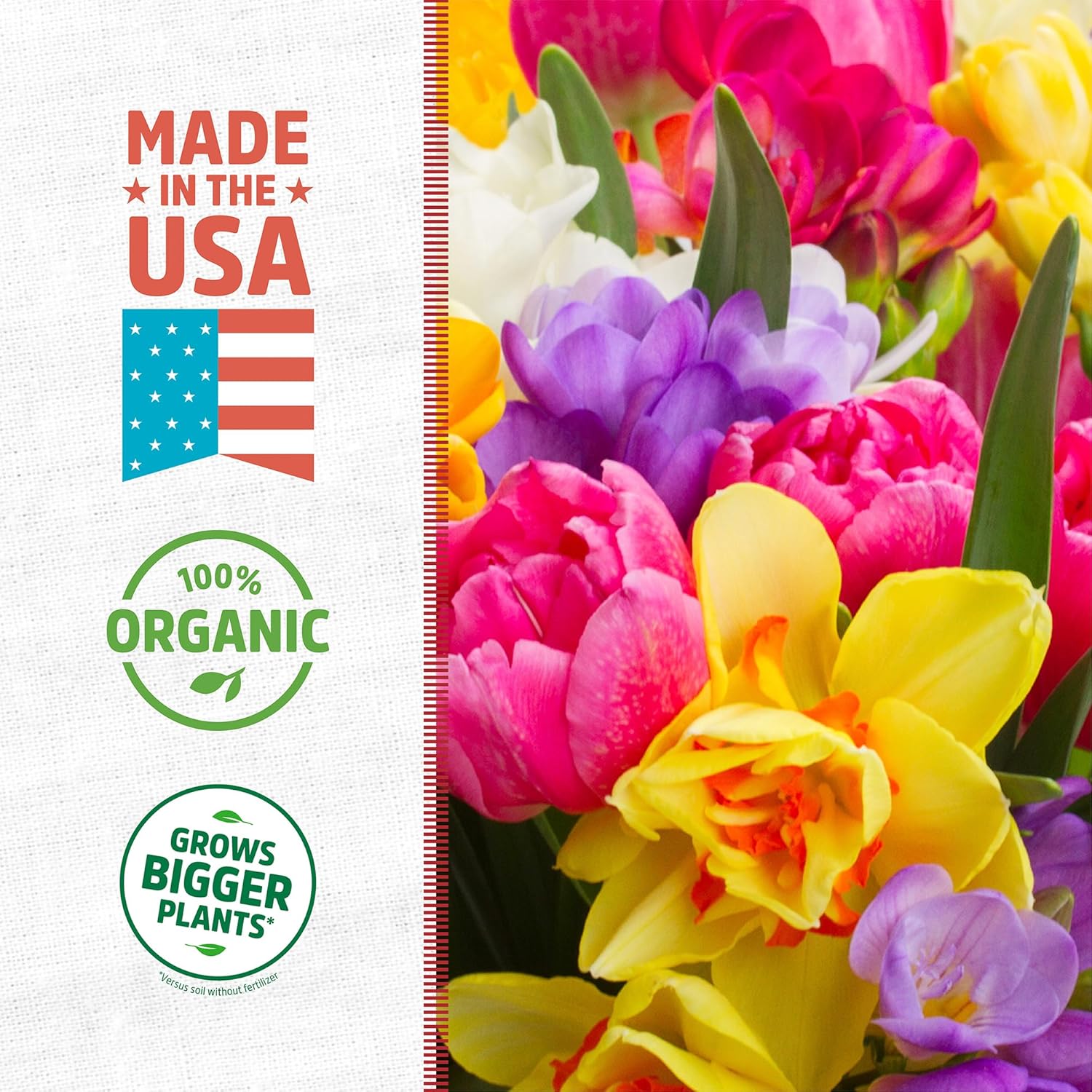 Back to The Roots 100% Organic Bone Meal | Made in The USA | Premium Nutrition for Indoor and Outdoor Plant Gardening