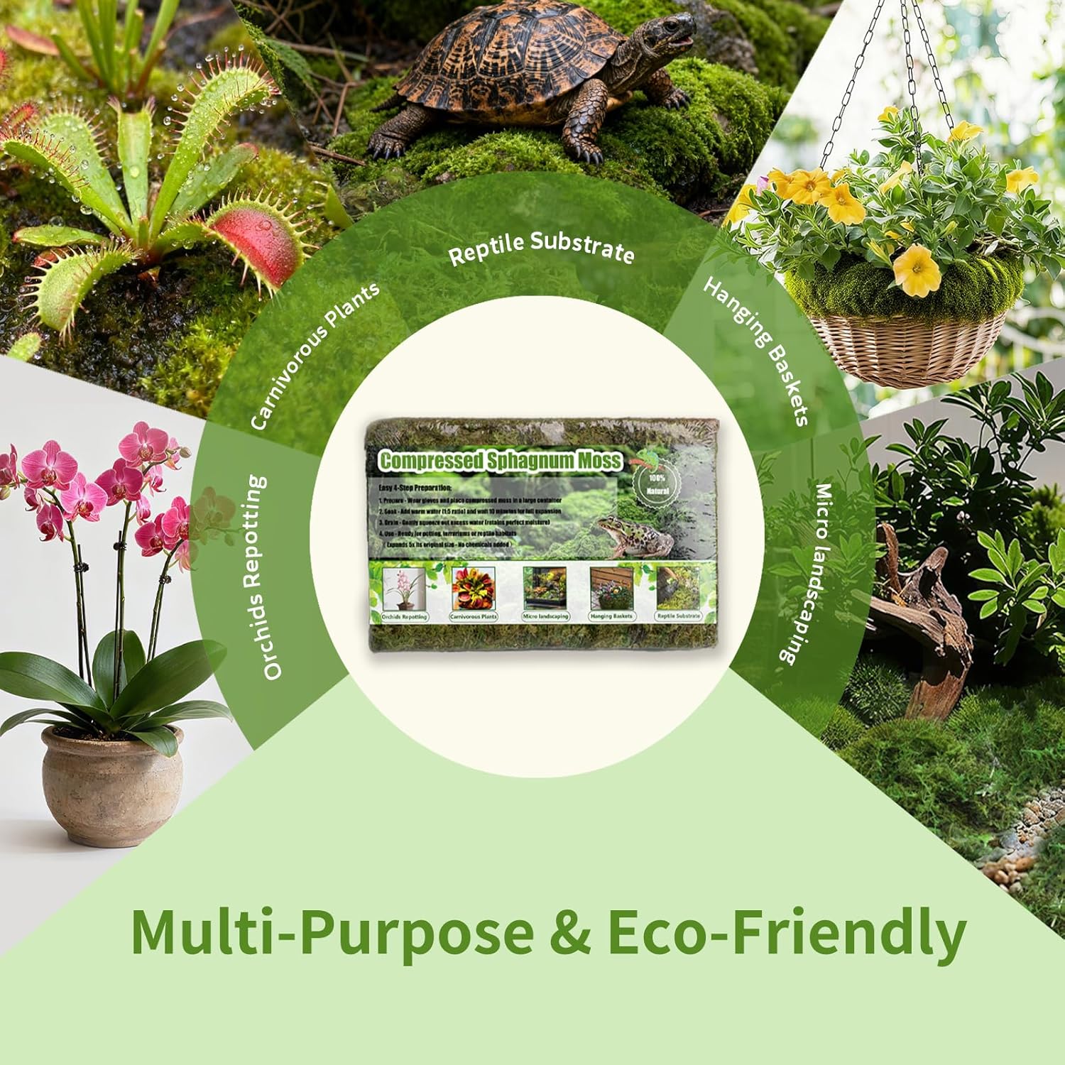 Compressed Sphagnum Moss for Plants & Reptiles (1pc)– Dried Peat Moss, Moisture-Retentive for Indoor Plants, Orchids, Terrariums, Reptile Bedding (100% Natural, Reptile-Safe
