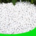 White Pebbles for Plants Garden 18 lb White Rocks Gravel Decorative Stones Landscaping Vase Fillers 1/2"