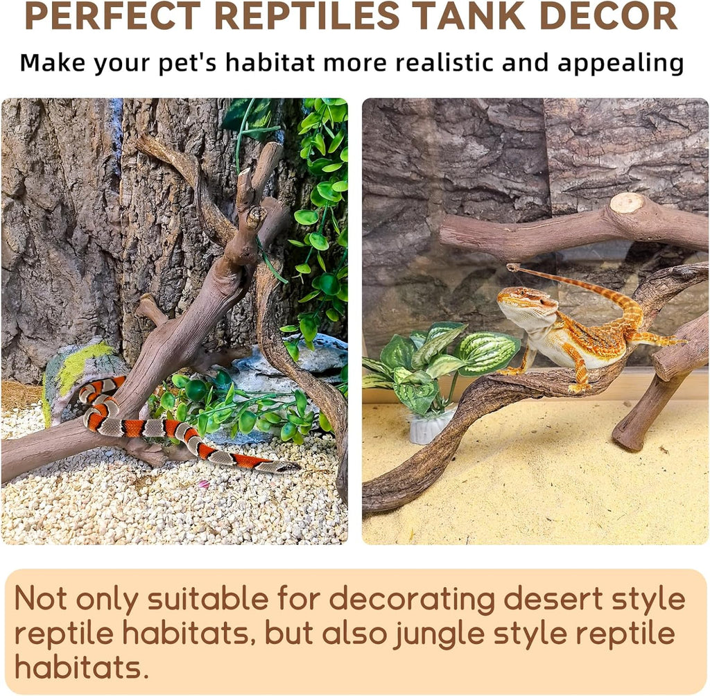 BNOSDM 2PCS Reptile Wood Branches, Snake Climbing Branch, Bearded Dragon Climbing Accessories, Lizard Habitat Decor, Terrarium Tree Trunk Ornament for Gecko Frog Chameleon Spider