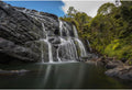 Waterfall Aquarium Background Jungle Rainforest Natural Landscape Terrarium Background Tranquil Lake with Blue Sky Fish Tank Background Falls Aquarium Backdrop Wallpaper Poster Vinyl 24x16in