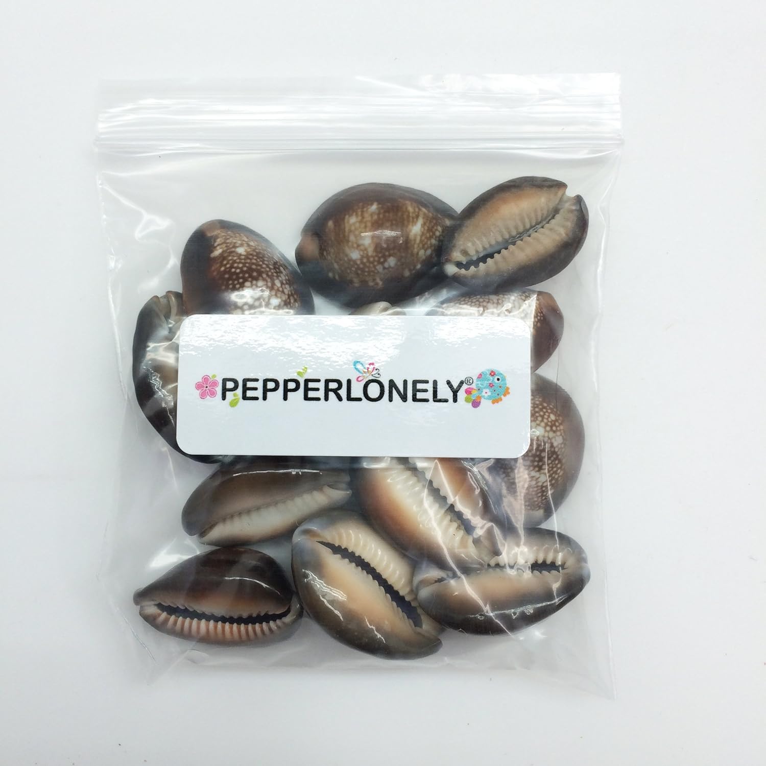PEPPERLONELY 12PC Serpent's Head Cowrie Sea Shells, Cyprae Caputserpentis Shells, 3/4 Inch ~ 1-1/4 Inch