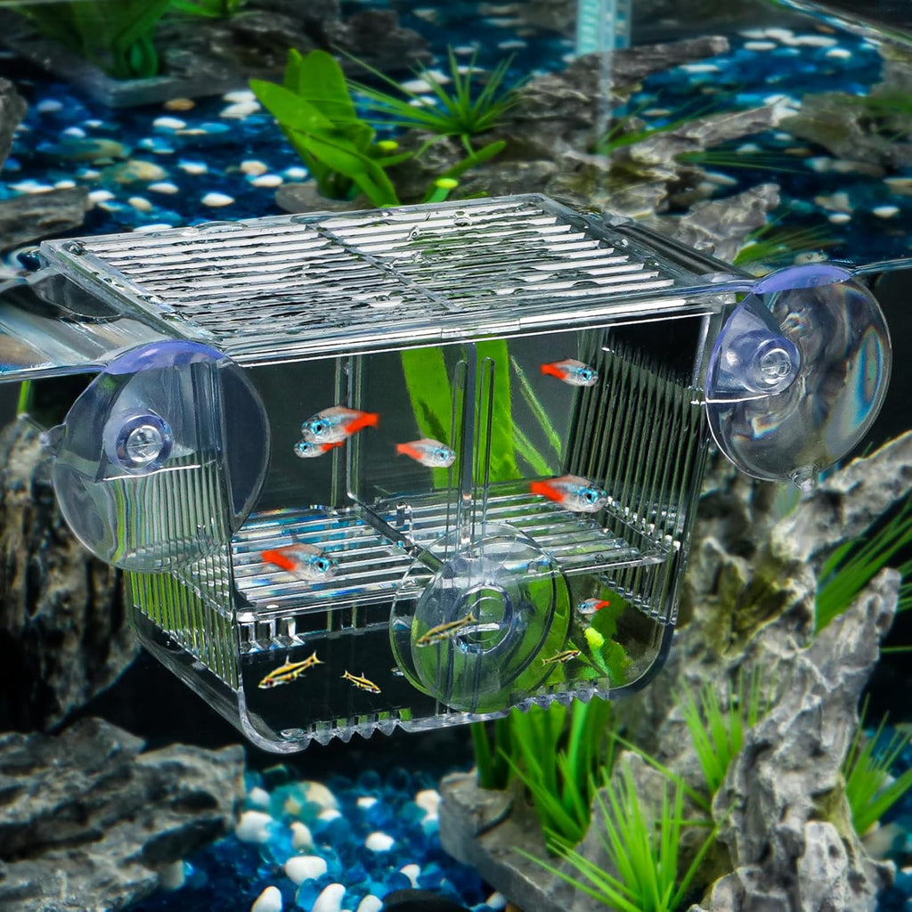 Pawfly Aquarium Fish Breeding Box, Acrylic Fish Isolation Box with 6 Suction Cups, Aquarium Acclimation Hatchery Incubator for Baby Fish Shrimp Betta Aggressive Fish Guppy (Small)