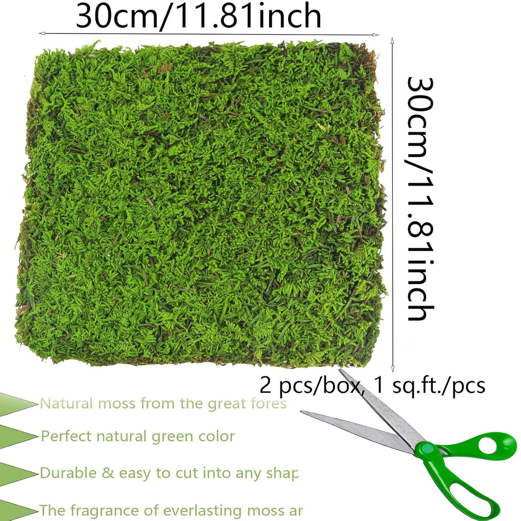 2 Pcs Preserved Sheet Moss for Potted Plants 2 sq.ft. Dried Natural Preserved Mat Green Moss Sheets for Planters Crafts Woodland Decor Garden Party Wall Art DIY Project Light Green