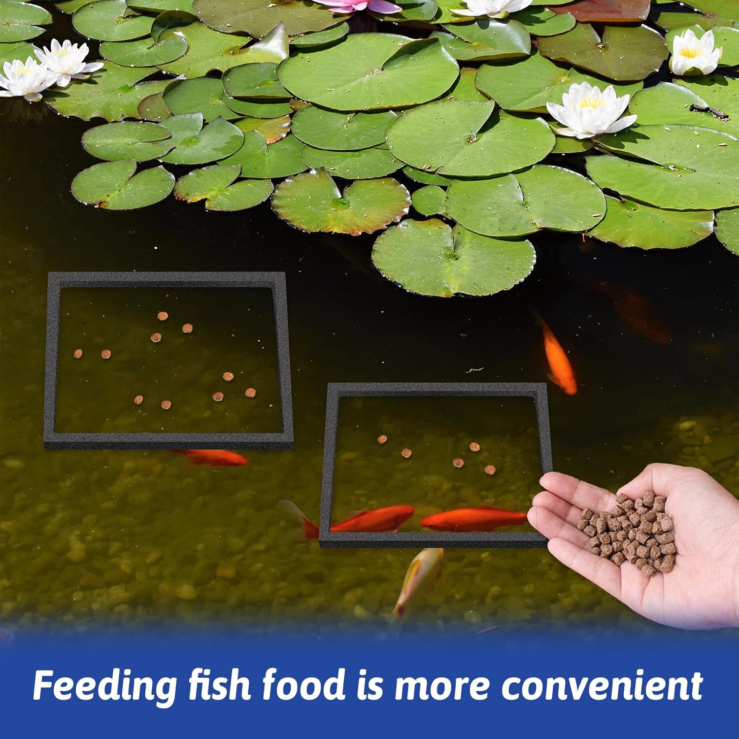 5Pcs Fish Black Foam Feeding Rings Set, Floating Aquarium Plant Corral, Square Feedings Rings for Fish Tank, Floating Plant Ring, Betta Fish Tank Aquarium Accessories