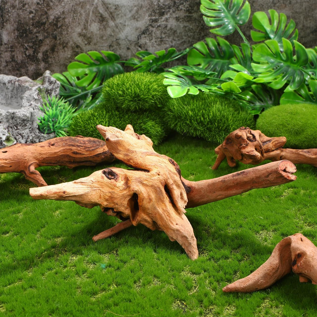Aquarium Driftwood Small 4Pcs Natural Wood for Fish Tank Freshwater Decorations Reptile Branches Terrarium Decor Easy Install
