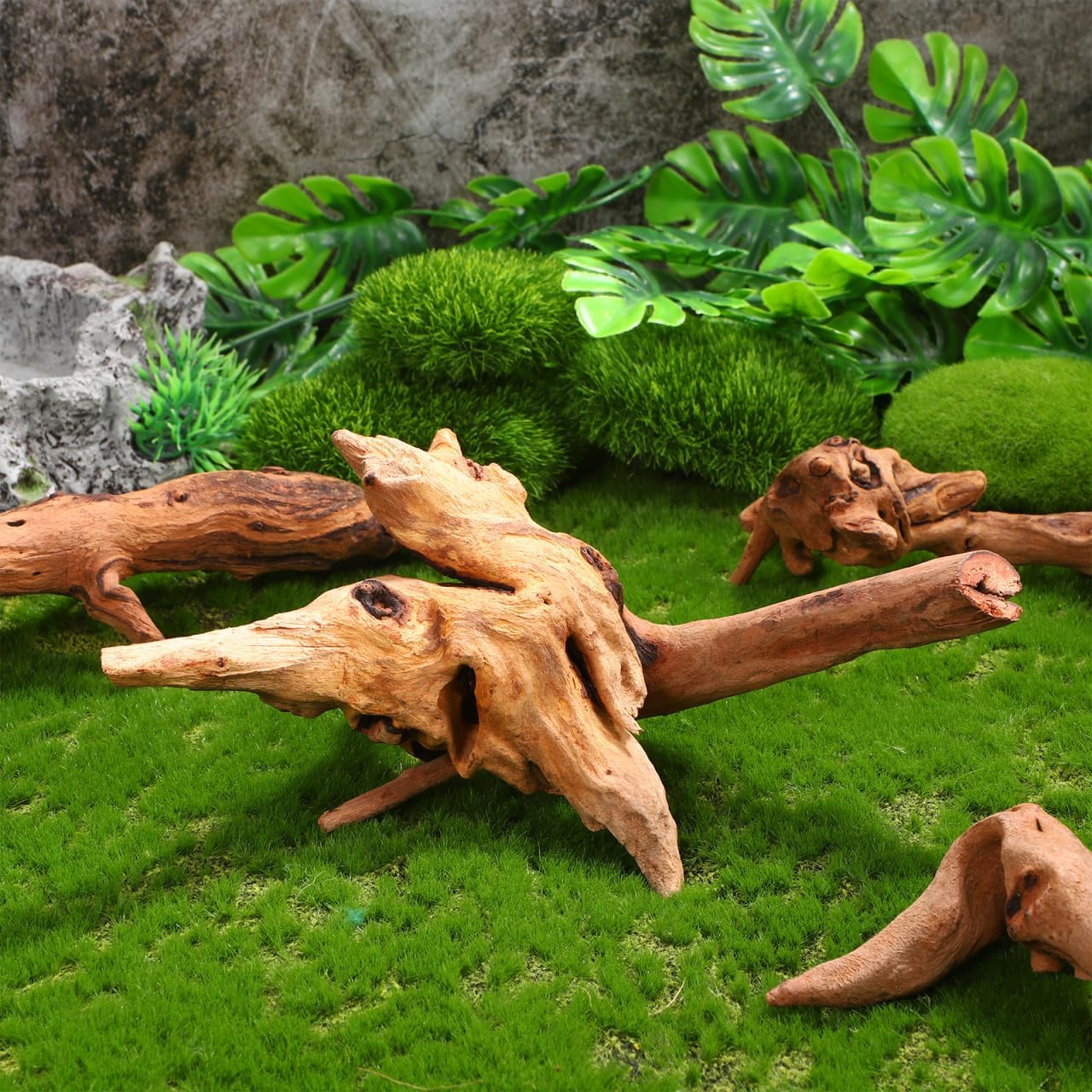 Aquarium Driftwood Small 4Pcs Natural Wood for Fish Tank Freshwater Decorations Reptile Branches Terrarium Decor Easy Install