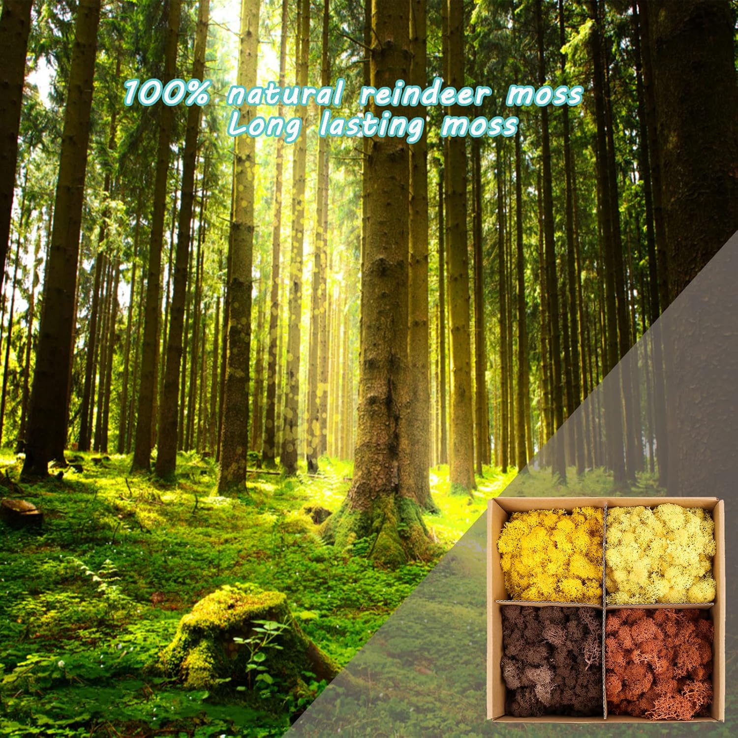 Amoueterno Preserved Moss 4 Color Reindeer Moss,Total 14OZ Each Color 3.5OZ, Natural Real Green Moss DIY Kit Moss Crafts Art Wall Decor Florist Decor Yellow/Light Yellow/Brown/Orange Brown
